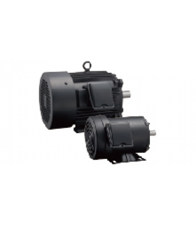 Drives & Inverters